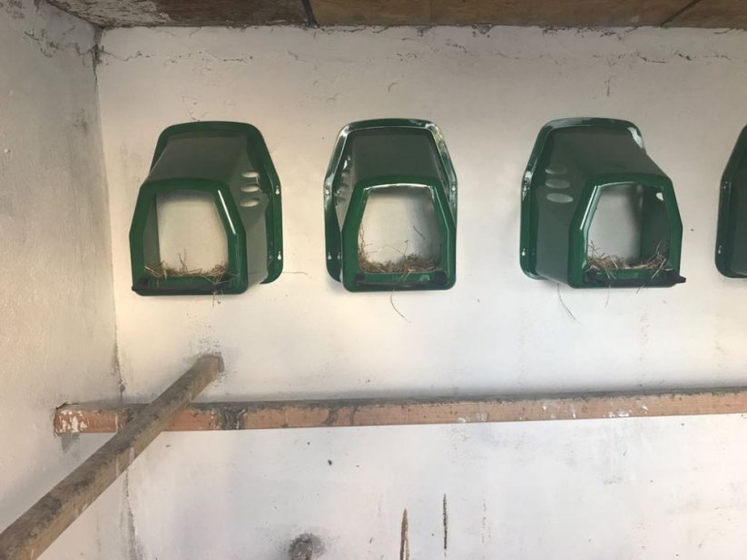 Plastové snáškové hnízdo pro slepice