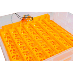 Automatická líheň s regulací vlhkosti WQ-56A