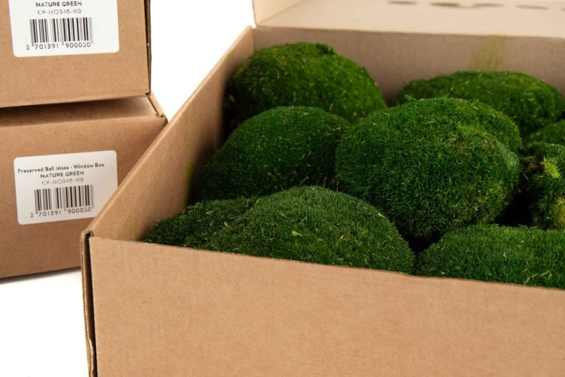 Stabilizovaný kopečkový mech (Ball Moss) Canopy | Přírodně zelený | 100 g