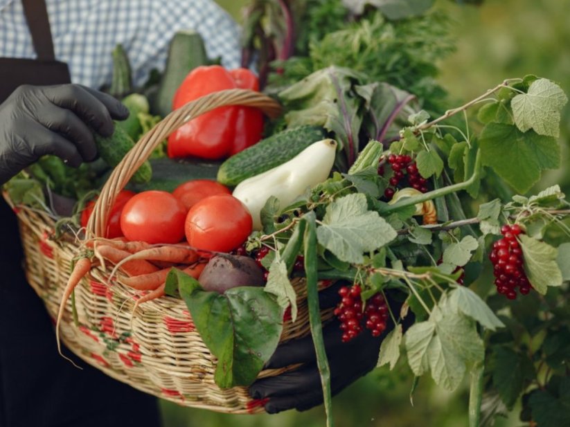 Organické hmyzí NPK hnojivo FRASSiO 25kg 4