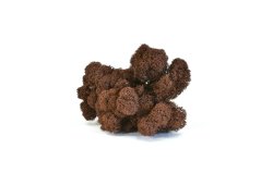 Stabilizovaný LIŠEJNÍK (sobí mech) Canopy | HNĚDÝ | 100 g