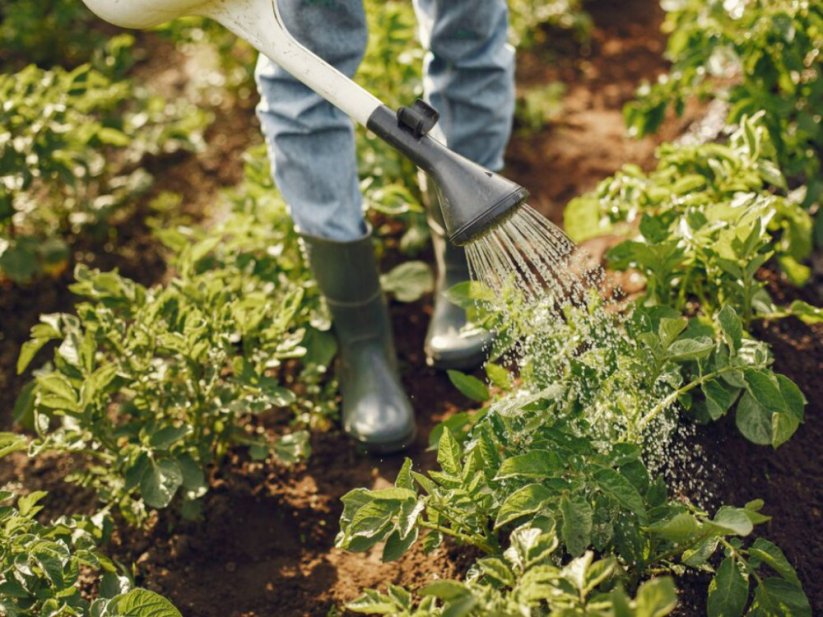 Frassio organicke hmyzi hnojivo produkt 6