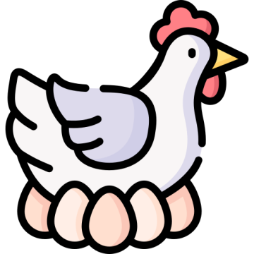 Nosnice - Produkt - Krmná směs