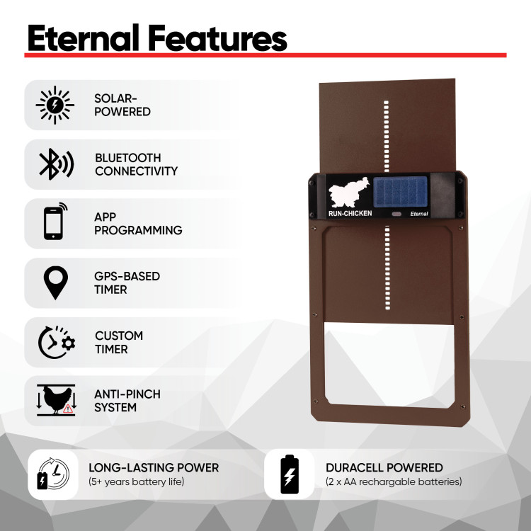 Eternal%20INFOGRAFIKE%20BRW 2 750x750