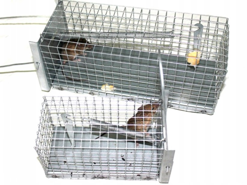 Past na myši a hraboše