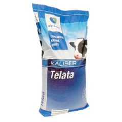Energys Kaliber Starter 25kg