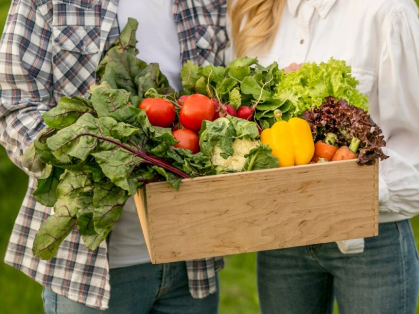 Frassio organicke hmyzi hnojivo produkt 2