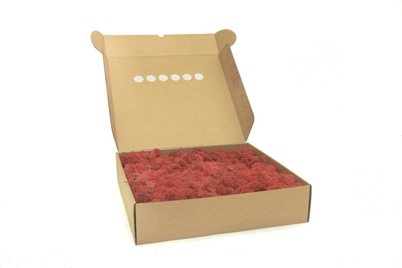 Stabilizovaný LIŠEJNÍK (sobí mech) Canopy | ČERVENÝ | 100 g