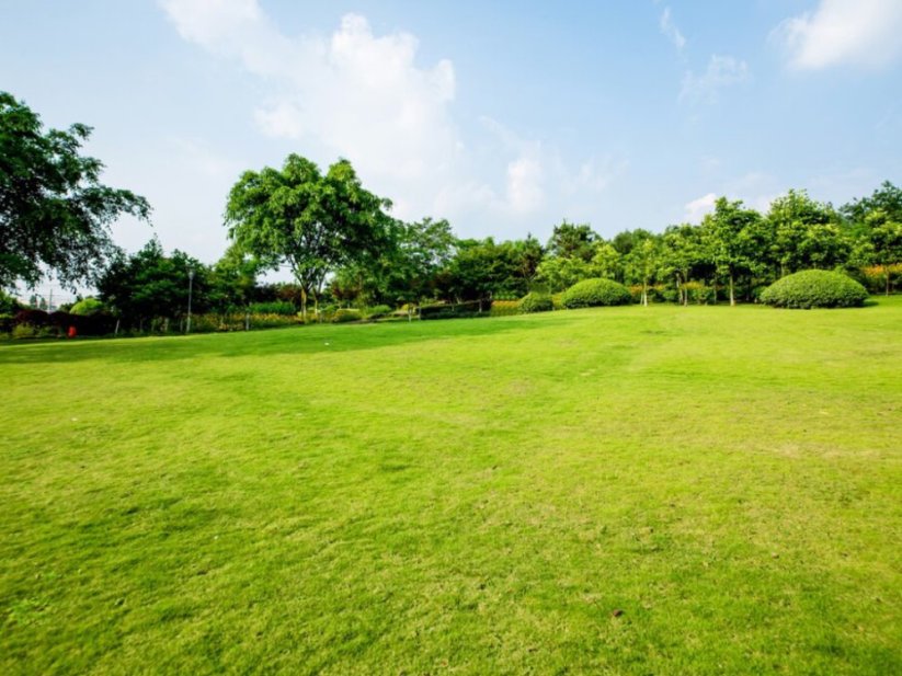 Frassio organicke hmyzi hnojivo produkt 5