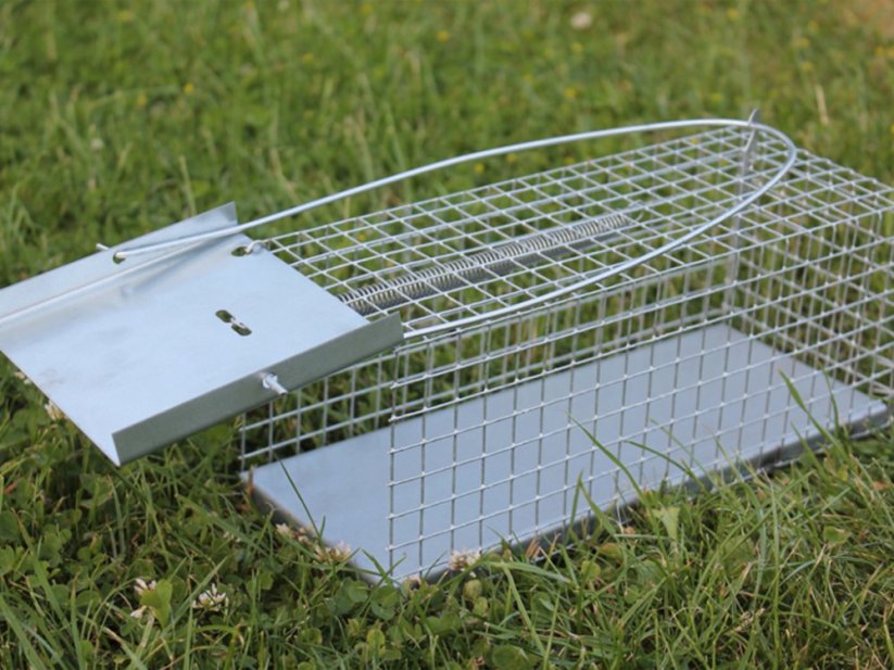 Past na myši a hraboše