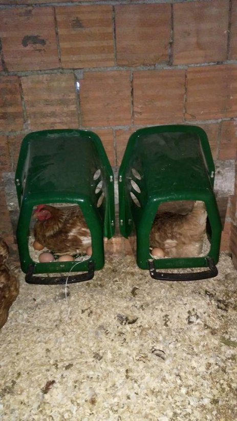 Plastové snáškové hnízdo pro slepice