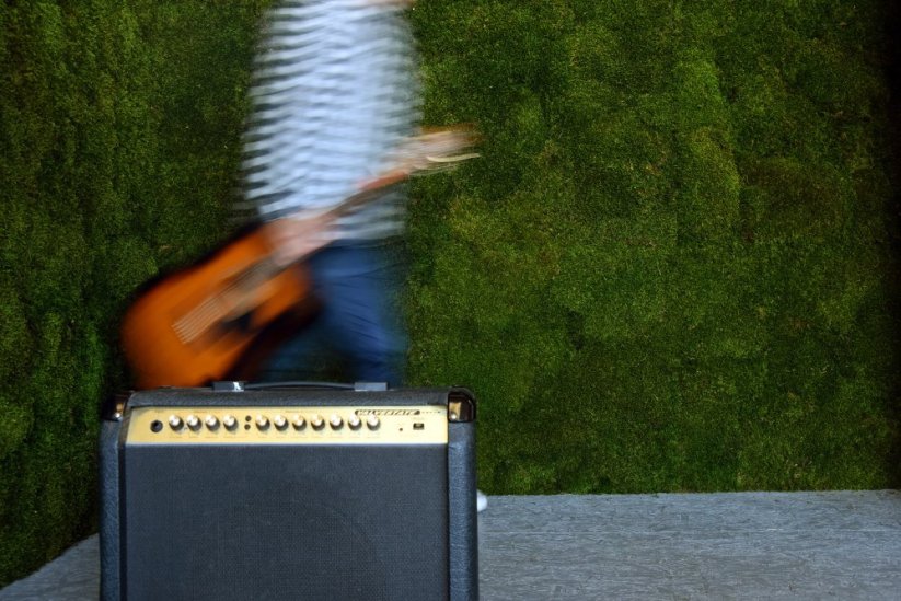 Stabilizovaný mech Long Moss Canopy | Zelený | 36x36cm