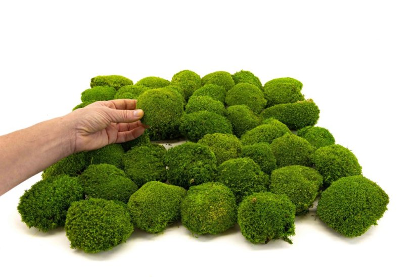 MINI MOUSSE BOULE LIGHT GREEN 9 LIGHT