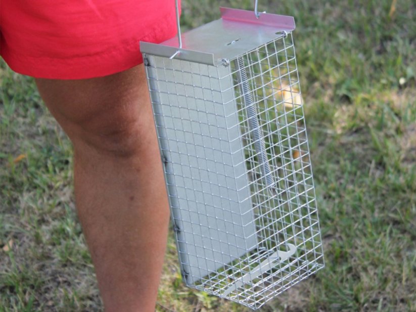 Past na myši a hraboše