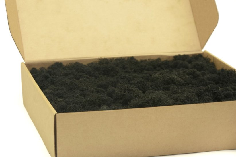 Stabilizovaný LIŠEJNÍK (sobí mech) Canopy | ČERNÝ | 100 g