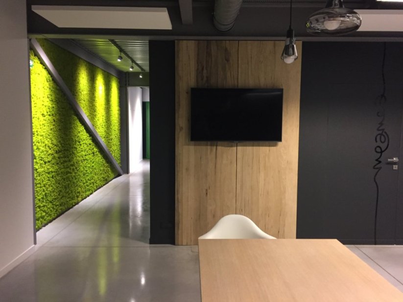 Stabilizovaný LIŠEJNÍK (sobí mech) Canopy | LIMETKOVĚ ZELENÝ | 0,7m2