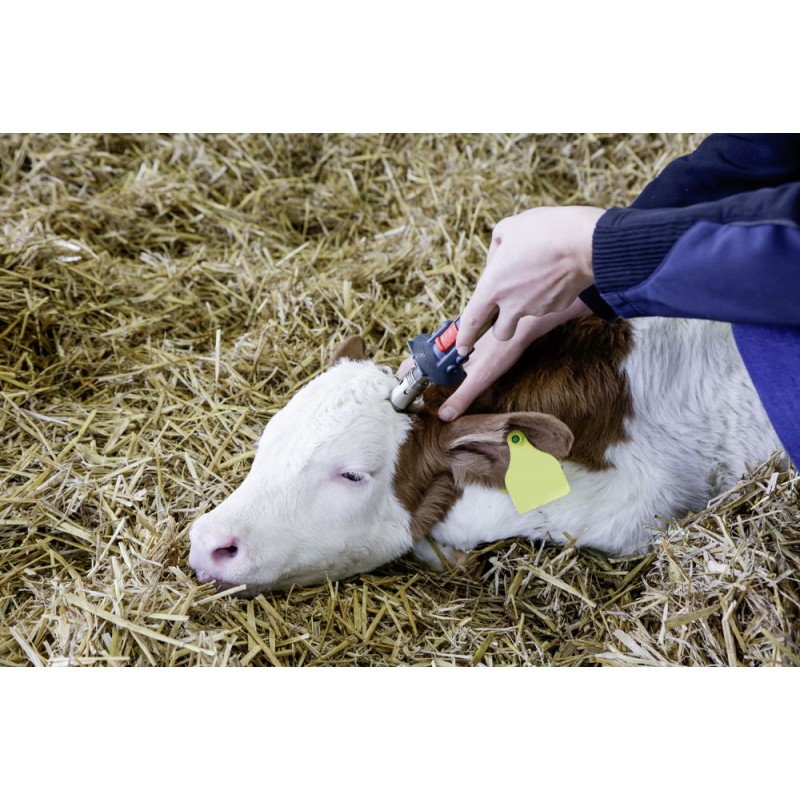 Odrohovač plynový Portasol III