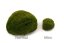 MOUSSE BOULE NATURE GREEN 1 Modifier LIGHT