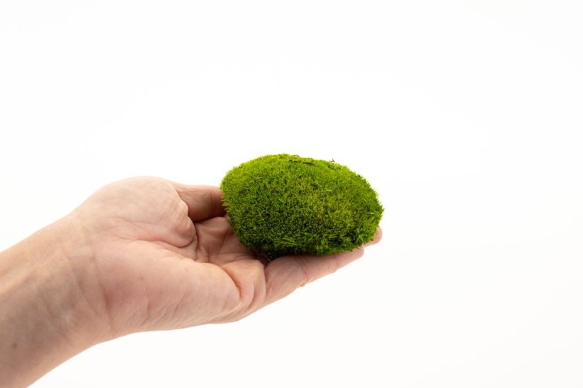 MINI MOUSSE BOULE LIGHT GREEN 10 LIGHT